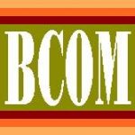 Scope of B.Com in Pakistan, BCom Subjects, Career, Eligibility & Tips