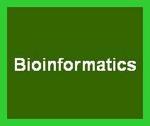 Scope Of Bioinformatics In Pakistan