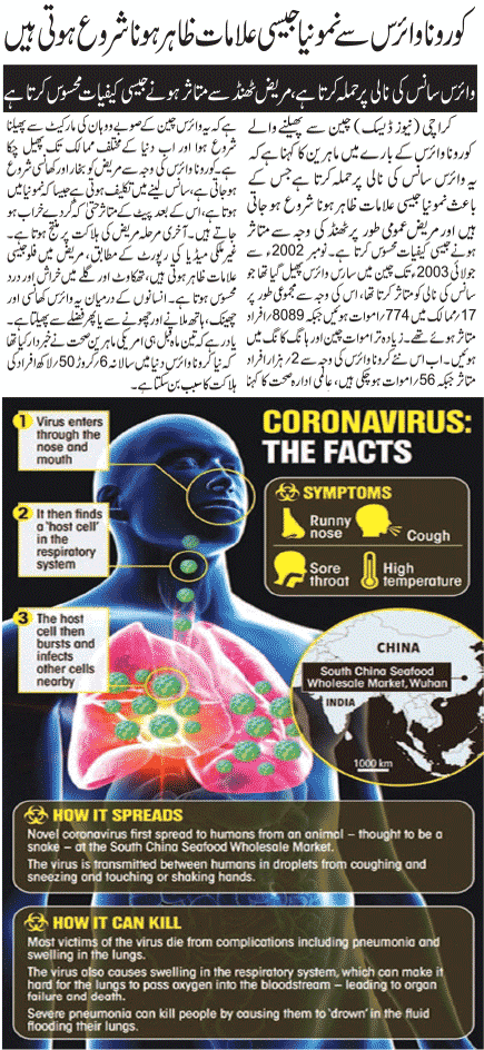 What is Coronavirus All About? Causes, Symptoms, Prevention, Treatment