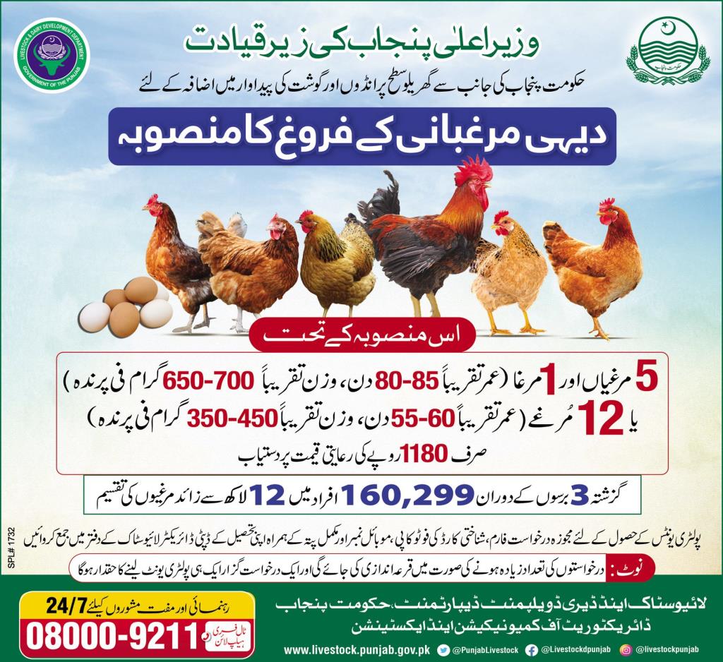 Chief Minister Poultry Scheme 2022, Download Form, Price, List of Successful Applicants