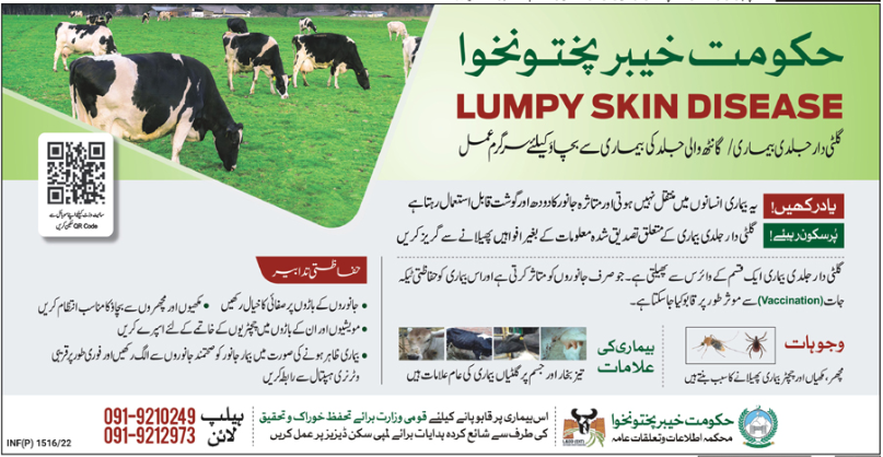 What is Lumpy Skin Disease in Livestock? Signs, Prevention, Treatment, Causes-Urdu-English