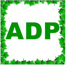 ADP (Associate Degree Program)