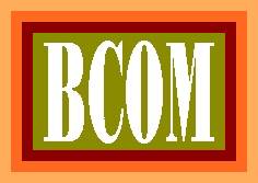 Scope of B.Com in Pakistan, BCom Subjects, Career, Eligibility & Tips 