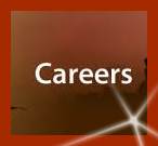 How to Choose a Career? Top Ten Career Guidance Tips