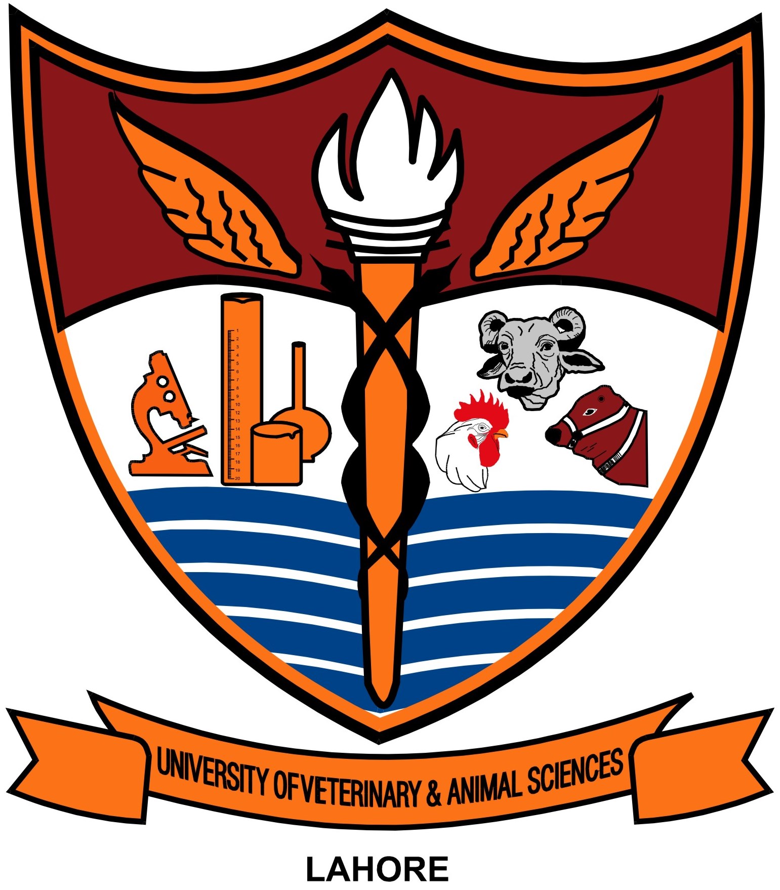 UVAS Undergraduate Admission 2021 (DVM, Pharm D & BS)