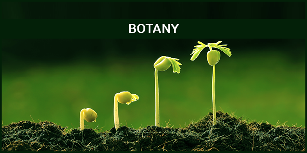 Scope Of Botany Jobs In Pakistan