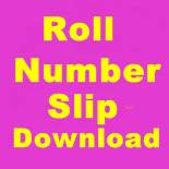 Roll No Slip 2020