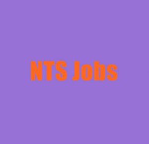 NTS Jobs 2020