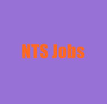 Latest SST Jobs 2022 in KPK, NTS Form, Result, Merit List