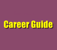 How To Find Work Experience During Studies? Career Tips