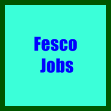 All Fesco Jobs 2019, CTS Ads, (SDO, Assistant Lineman & Bill Distributor)