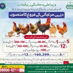 Chief Minister Poultry Scheme 2022, Download Form, Price, List of Successful Applicants